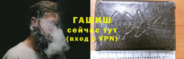 PSILOCYBIN Балахна