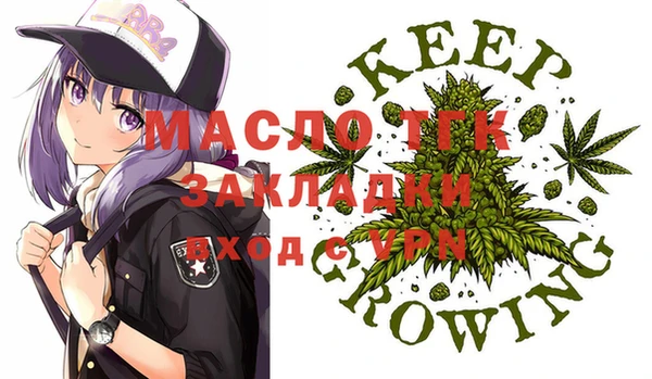 мяу мяу мука Гусь-Хрустальный