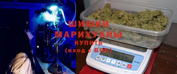 PSILOCYBIN Балахна